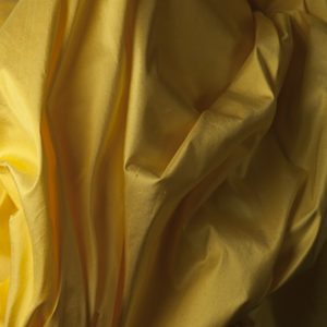 Alternative view of Ascot Jaune