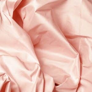 Alternative view of Ascot Rose Pastel