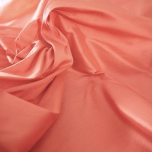 Alternative view of Ascot Camélia