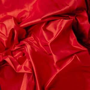 Alternative view of Ascot Rouge Ecarlate