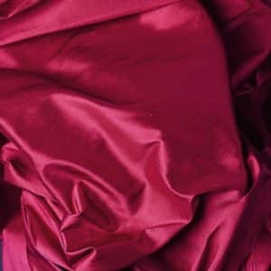 Alternative view of Ascot Fushia